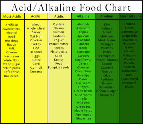 FoodChart 